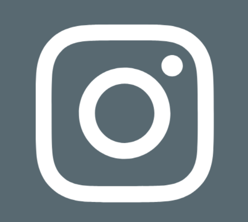 Icône Instagram